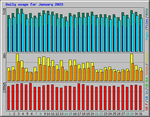 Daily usage for January 2023