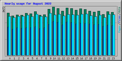 Hourly usage for August 2022