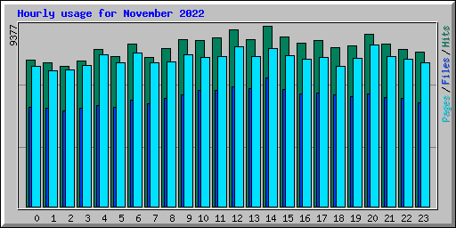 Hourly usage for November 2022