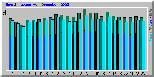 Hourly usage for December 2022