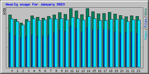 Hourly usage for January 2023