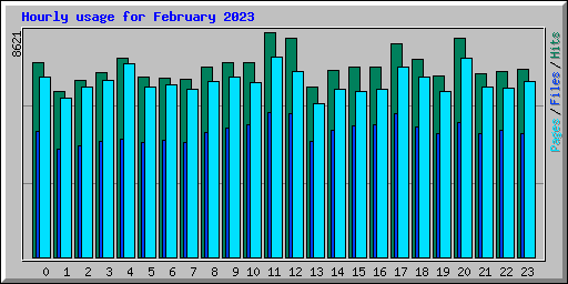 Hourly usage for February 2023