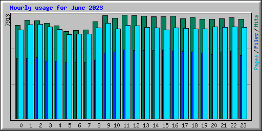 Hourly usage for June 2023